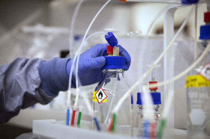 Viral vector translational services