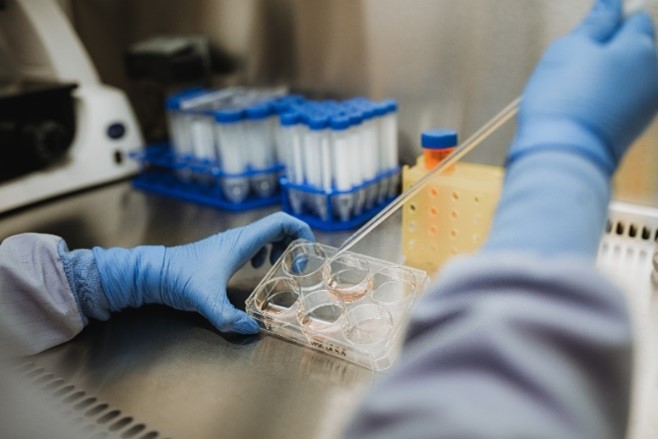 Plasmid cGMP manufacturing