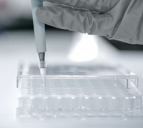 Viral vector process development services
