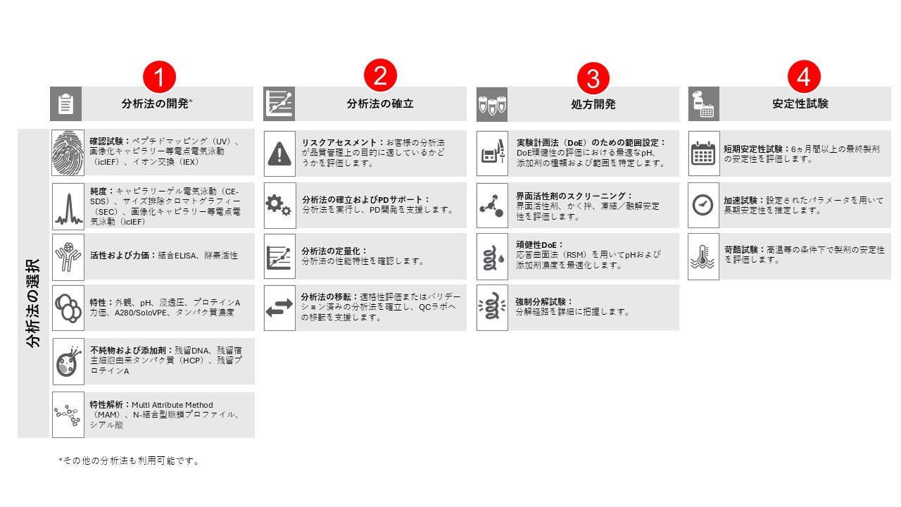 Overview of the cell line development process