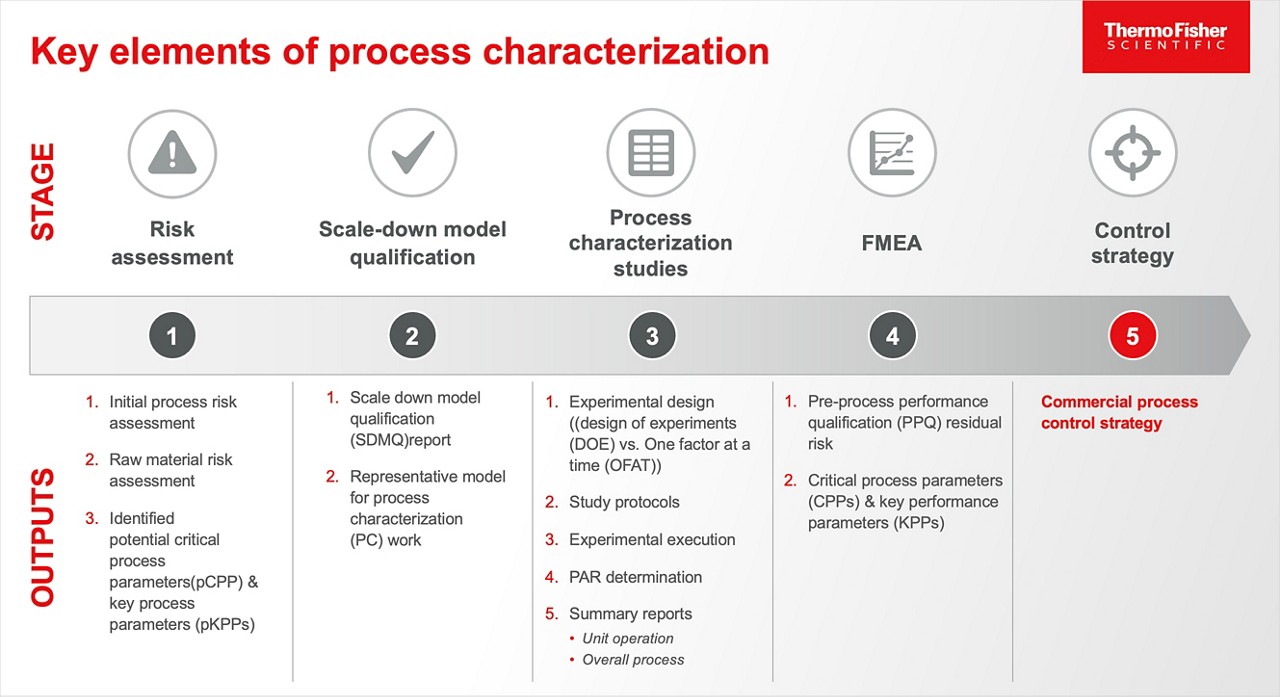 Cell Culture Process Characterization Workflow