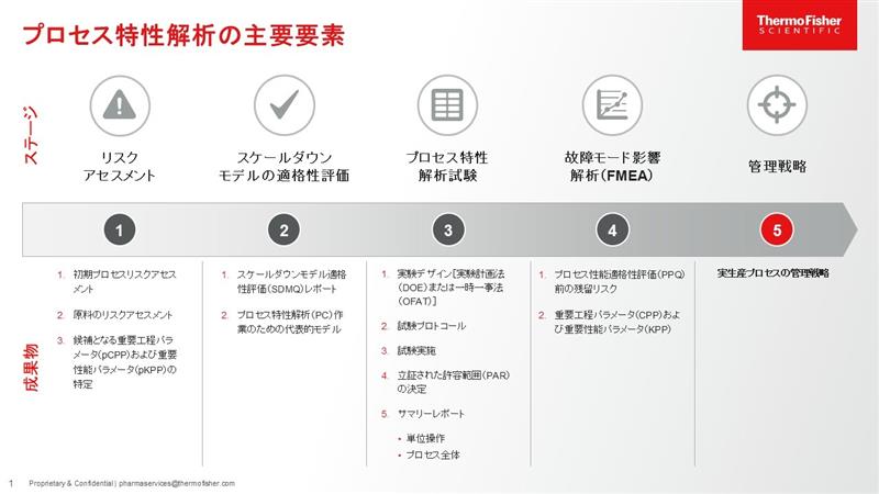 Cell Culture Process Characterization Workflow