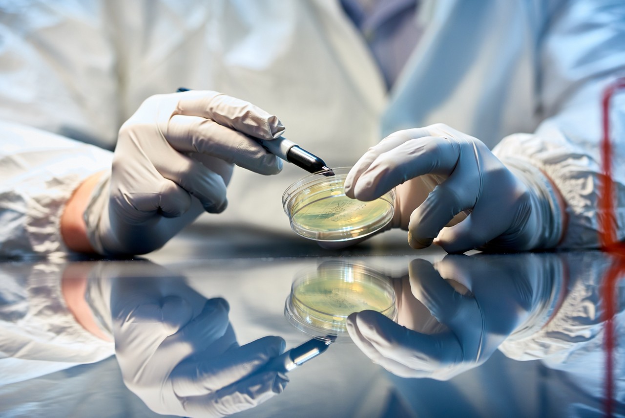 Viral vector manufacturing and development capabilities at Plainville facility